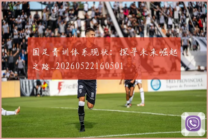 国足青训体系现状:探寻未来崛起之路_20260522160501