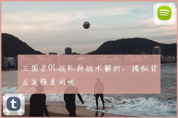 三国杀OL战队新战术解析,揭秘背后高强度训练
